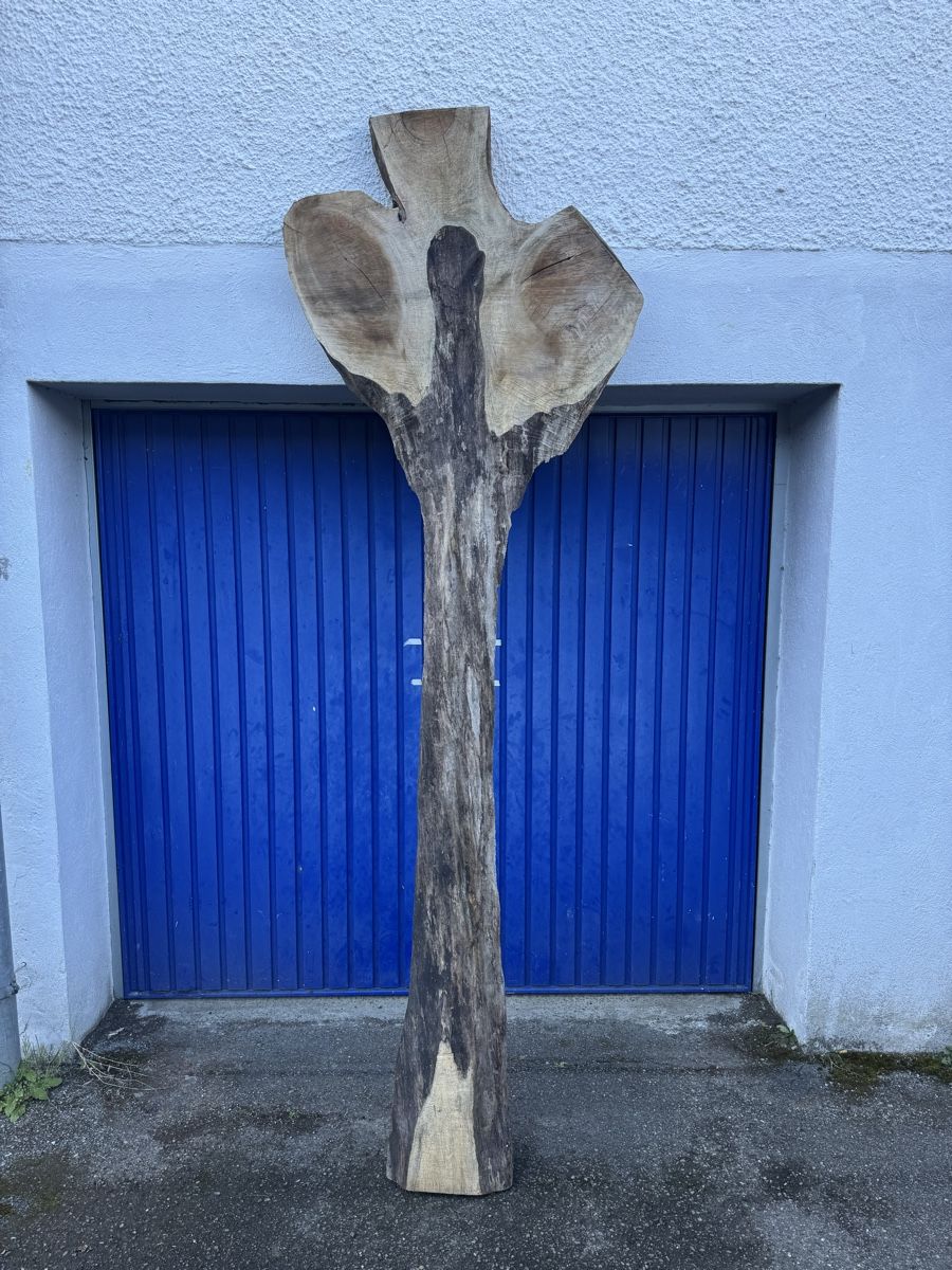 Articoli in legno: Nussbaum Klotzbrett 260  cm lang! – Usato da Gränichen venduto da onkel_xxl