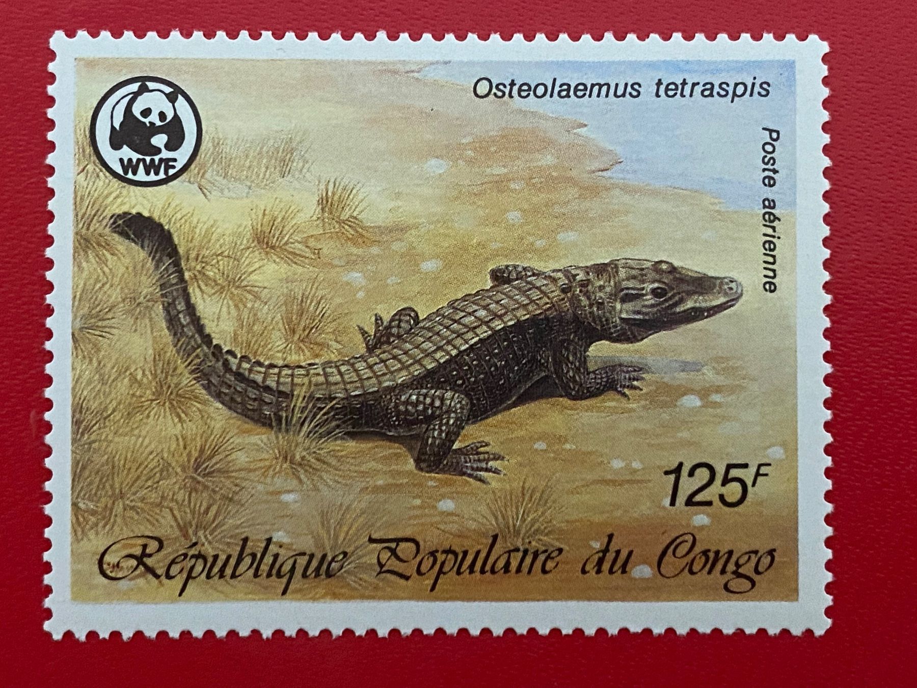 Alle Briefmarken: Timbres - Congo – Neu (gemäss Beschreibung) aus Petit-Lancy von Solcarm 2