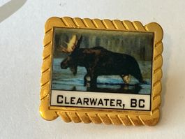 1 Pin Clearwater BC