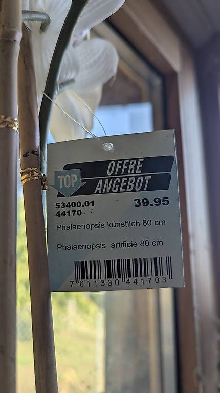 Piante & sementi: Orchidées artificielles – Nuovo e nell'imballaggio originale da Provence venduto da tokoclo 2