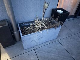 3x Blumentröge Gratis Abzugeben