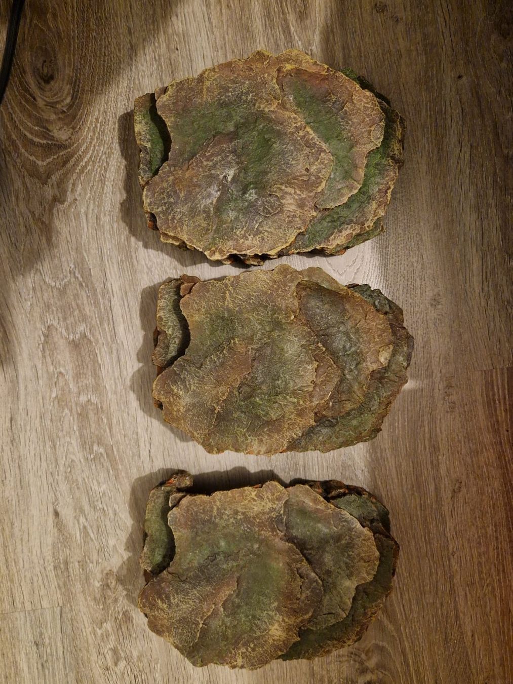 Tutte le decorazioni: 3 Schlangenhöhlen/Verstecke – Usato da Basadingen venduto da NicoleK13