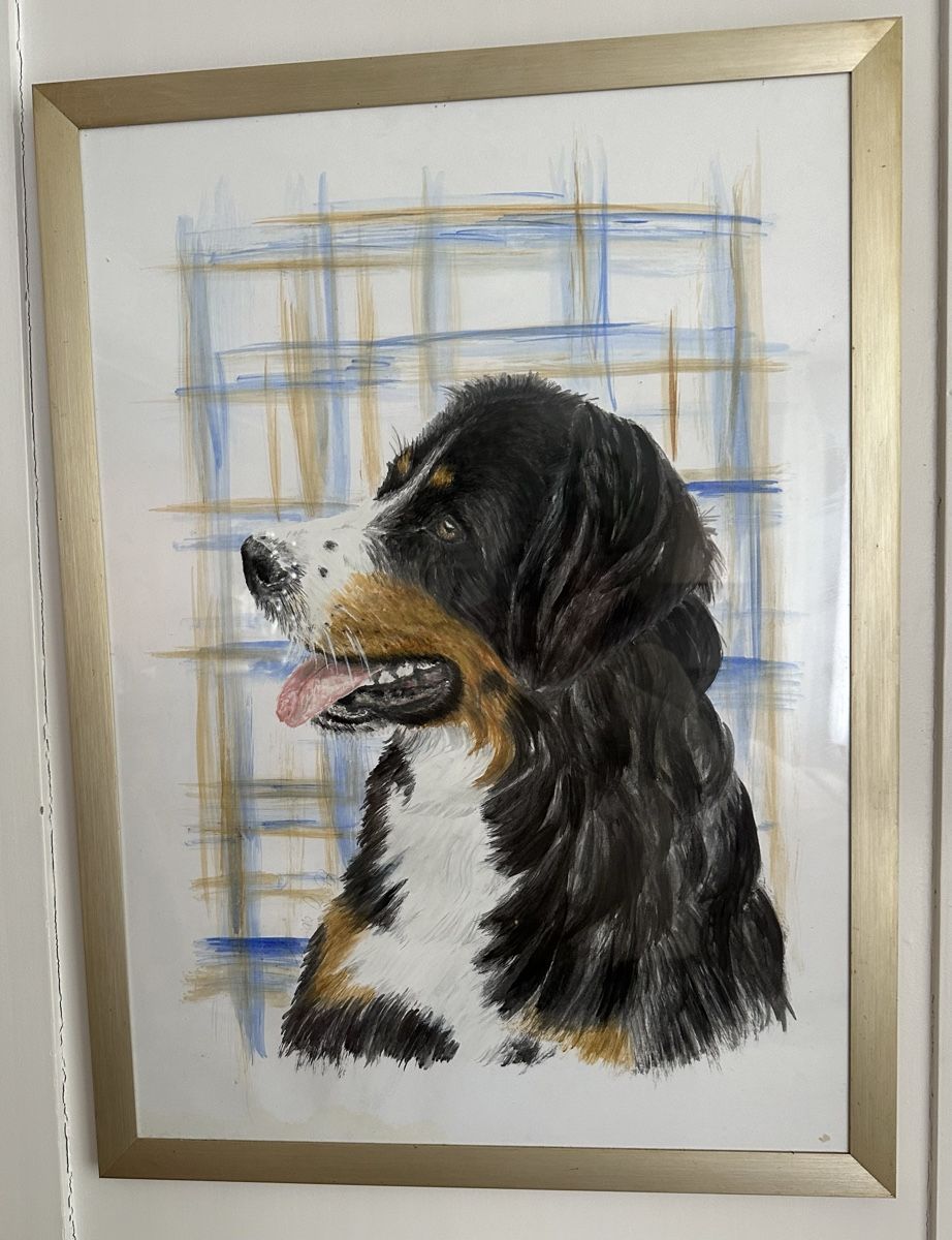 Gemälde: Bild:Berner Sennenhund,von Hand gemalt – Gebraucht aus Zürich von Peci007