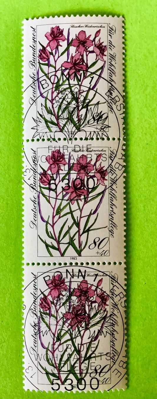 Tutti i francobolli: Briefmarken aus Deutsche Bundespost gestempelt  – Usato da Aarau venduto da Angi-007
