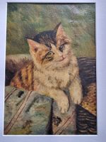 GEMÄLDE KATZE AUF LEINWAND OEL MONTIERT AUF PASSEPARTOUT