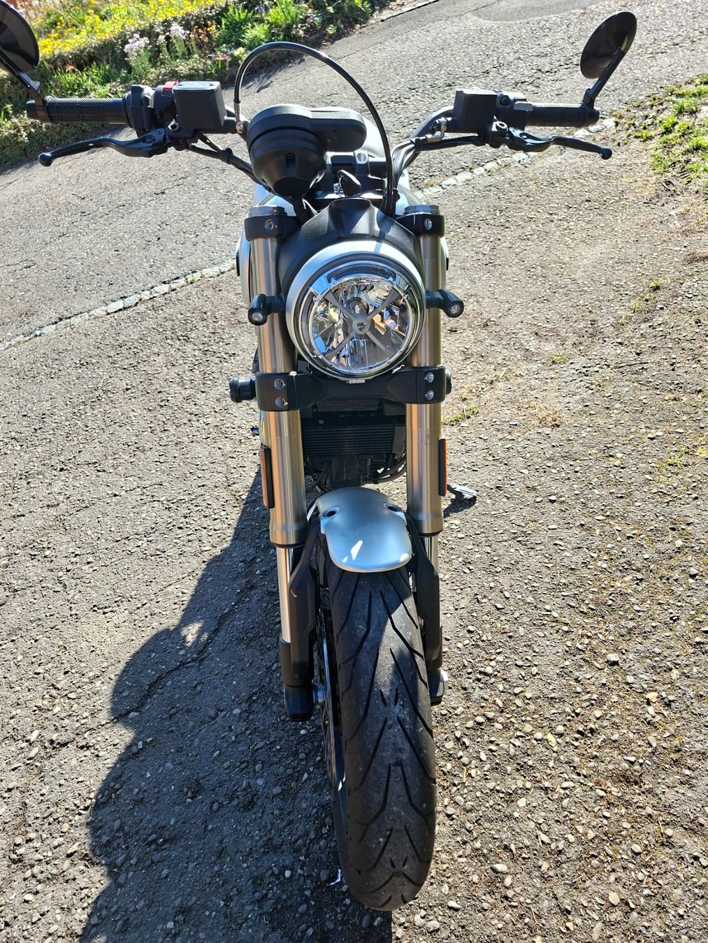 Strasse: Ducati Scrambler 1100 – Gebraucht aus Thalheim AG von peps01 2