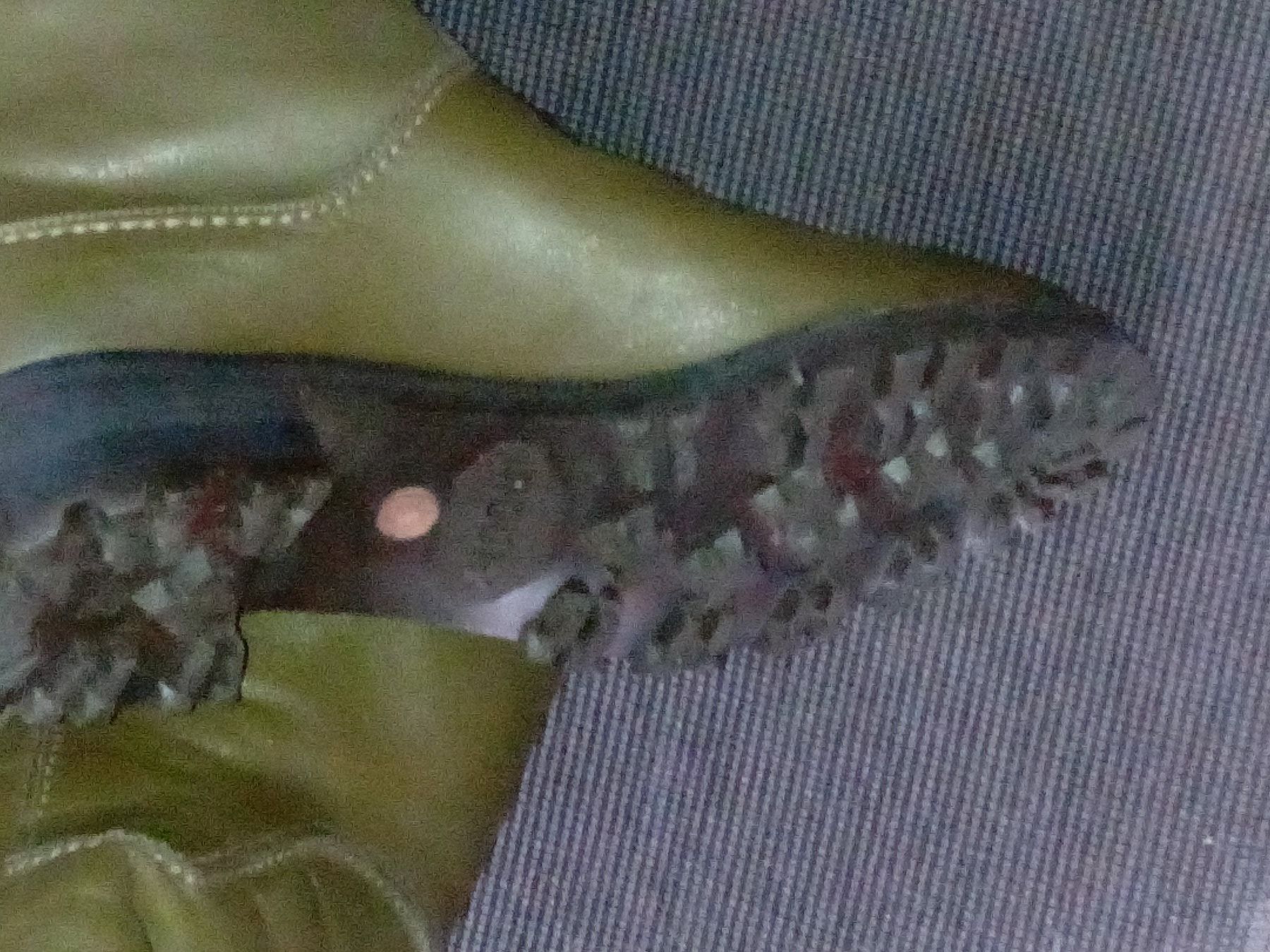 Scarpe da donna: Schöne, hochwertige Lammnappalederstiefel mit Lammfellfutter – Nuovo (secondo la descrizione) da Zürich venduto da Mitzi6 4