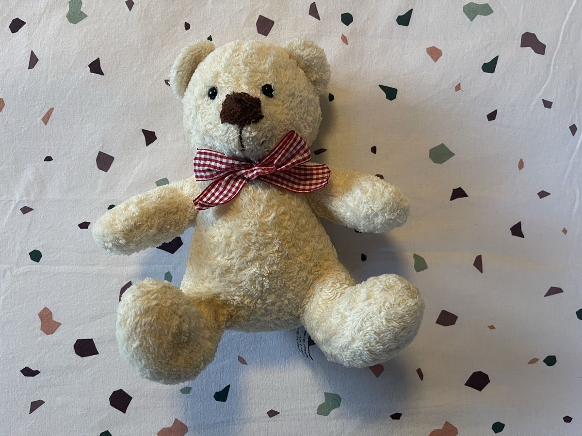Giocattoli: Teddybär, Plüschtier – Usato da Hirzel venduto da carta9