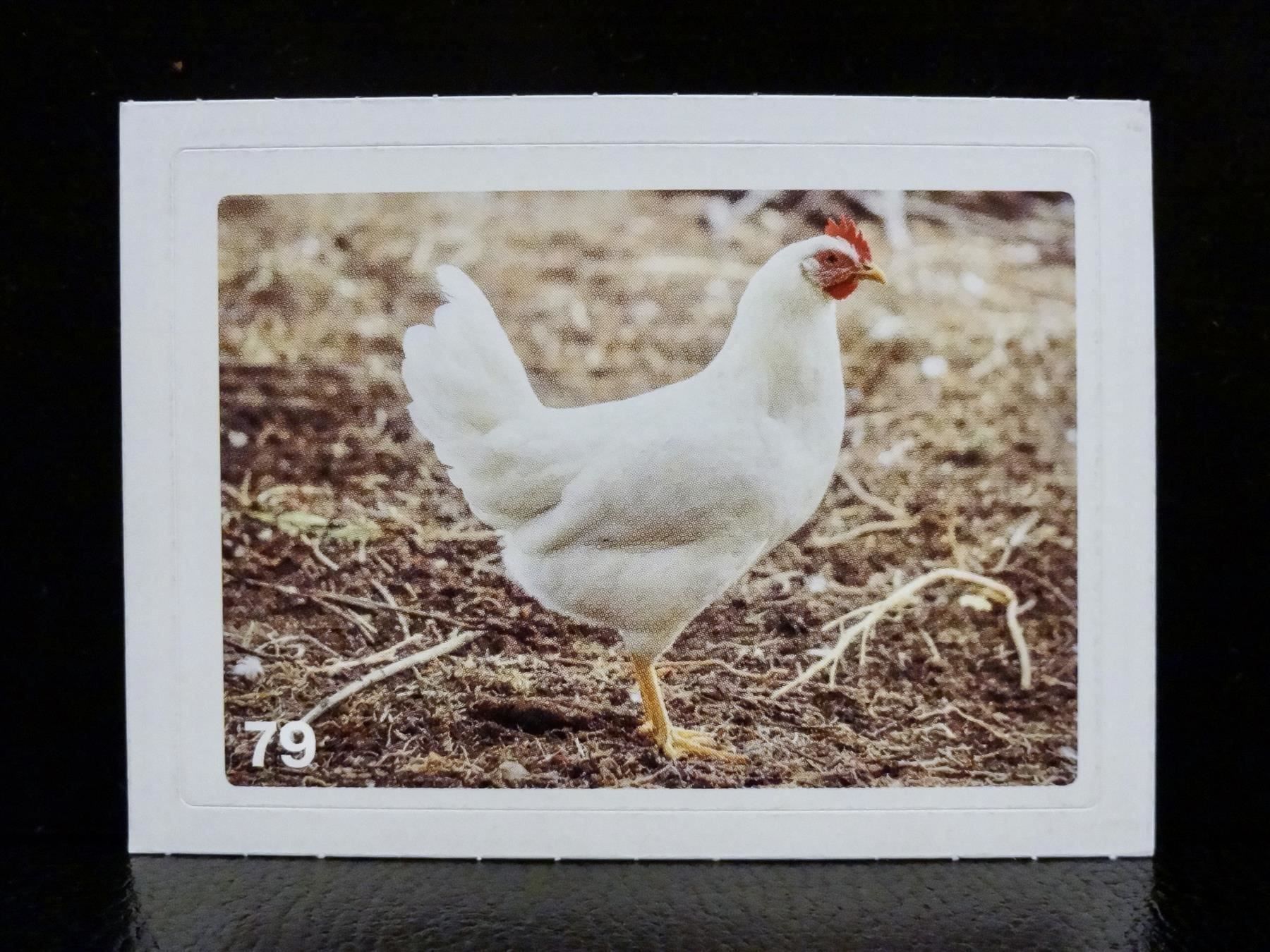 Migros Carte collezionabili: MIGROS MANIA Nature Detectives Nr. 79 – Nuovo e nell'imballaggio originale da Kerzers venduto da zimmergruen