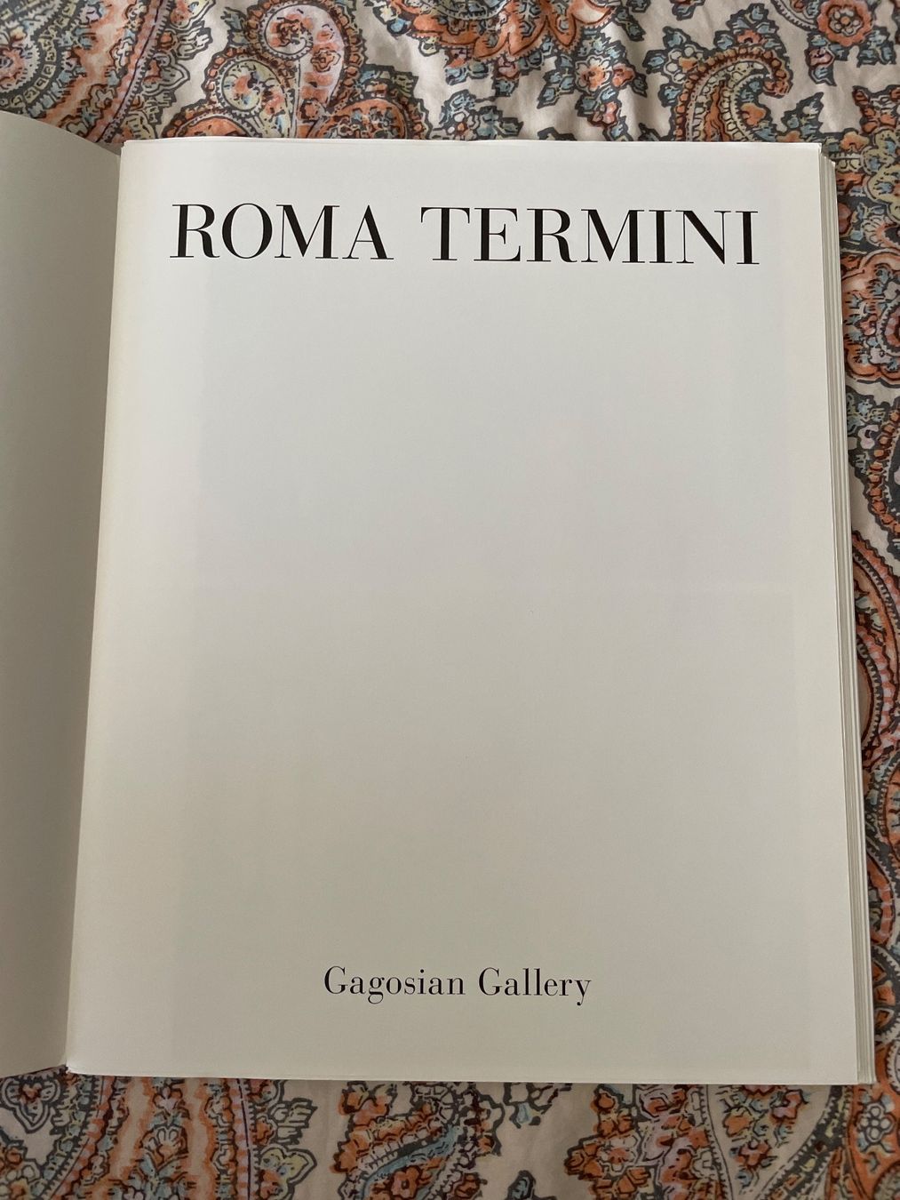 Libri: book  "Roma Termini" Christopher Wool Gagosian Gallery – Usato da Basel venduto da Amechan. 1