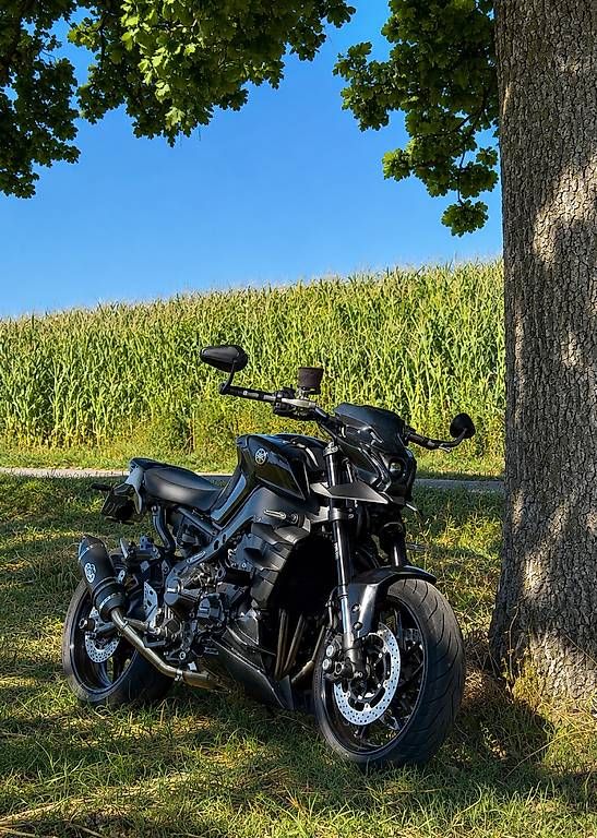 Strada: EINZIGARTIGE MT09 2023 – Usato da Altenrhein venduto da mgi_6nk7