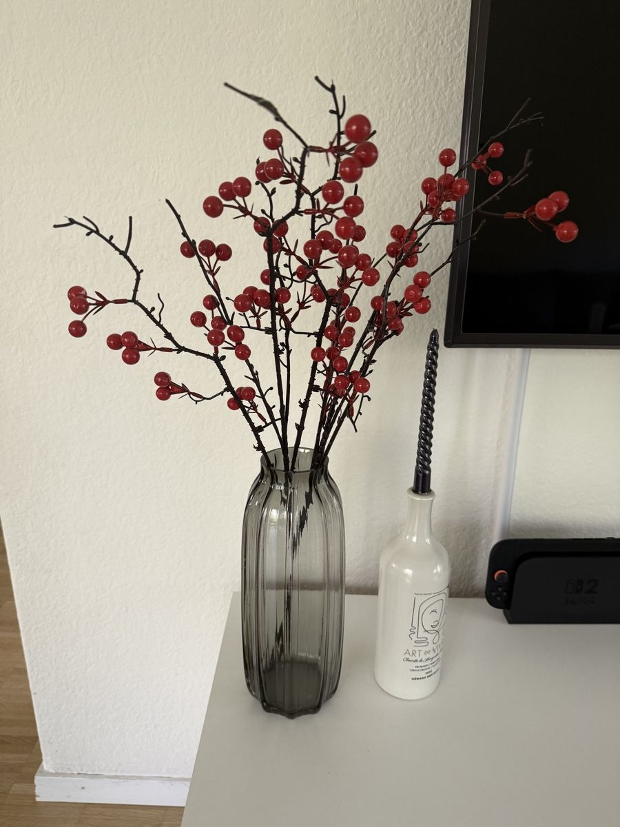 Vasi & Recipienti: Vase – Usato da Bern venduto da jac_5hjp
