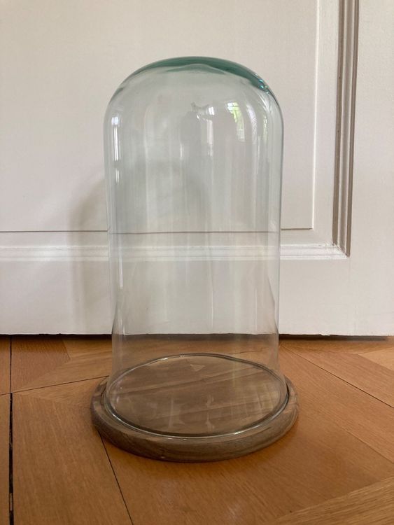 Wunderschöne Glasglocke mit Holzsockel, H ca. 40 cm, neu! Kaufen auf