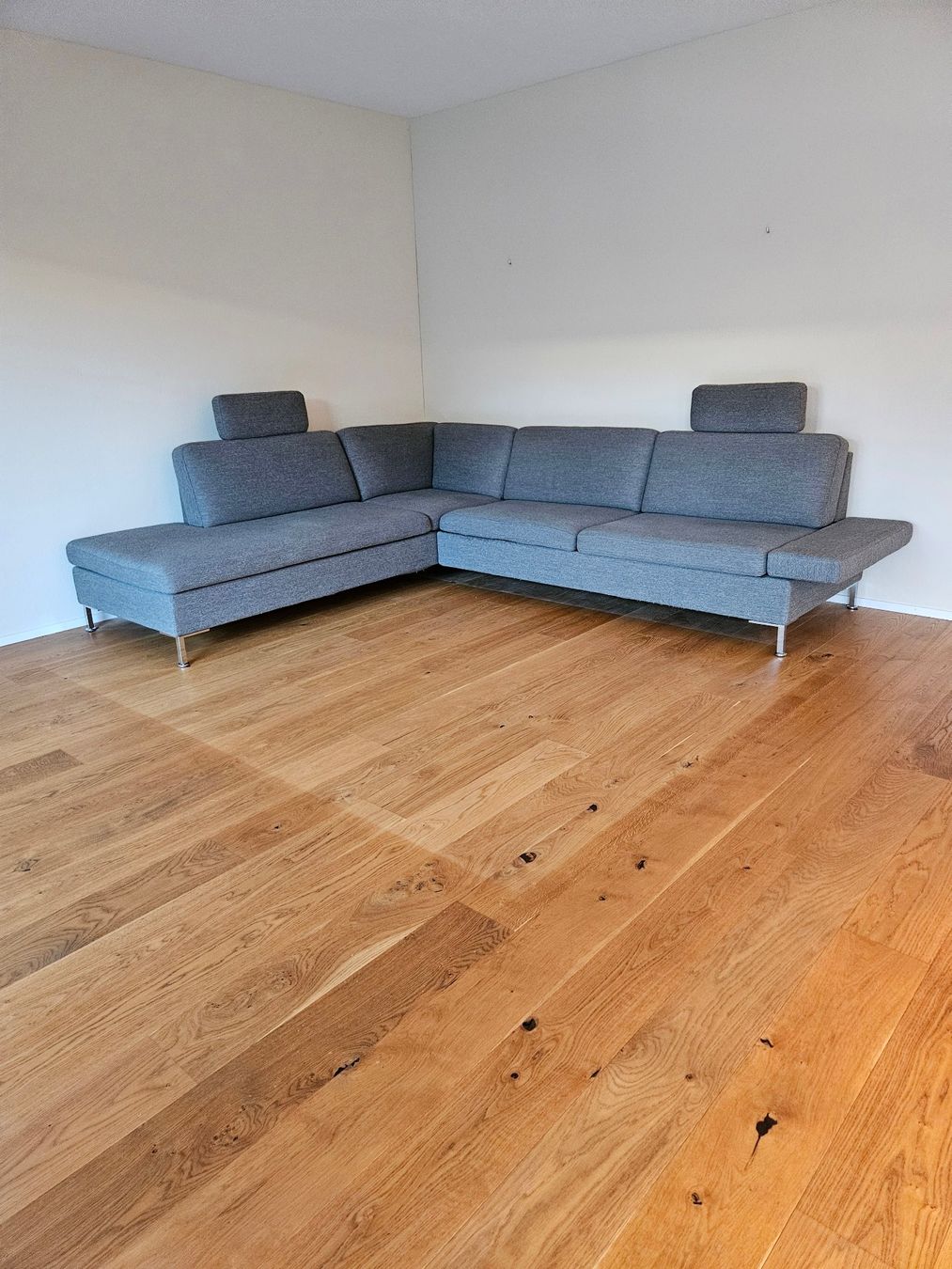 Brühl Sofas: Modernes Ecksofa «ALBA» von Brühl – Gebraucht aus Jona von  1