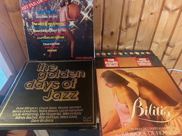 Dischi in vinile: Disques Vinyles 33 tours – Usato da Chézard-St-Martin venduto da Famille.Richard 2