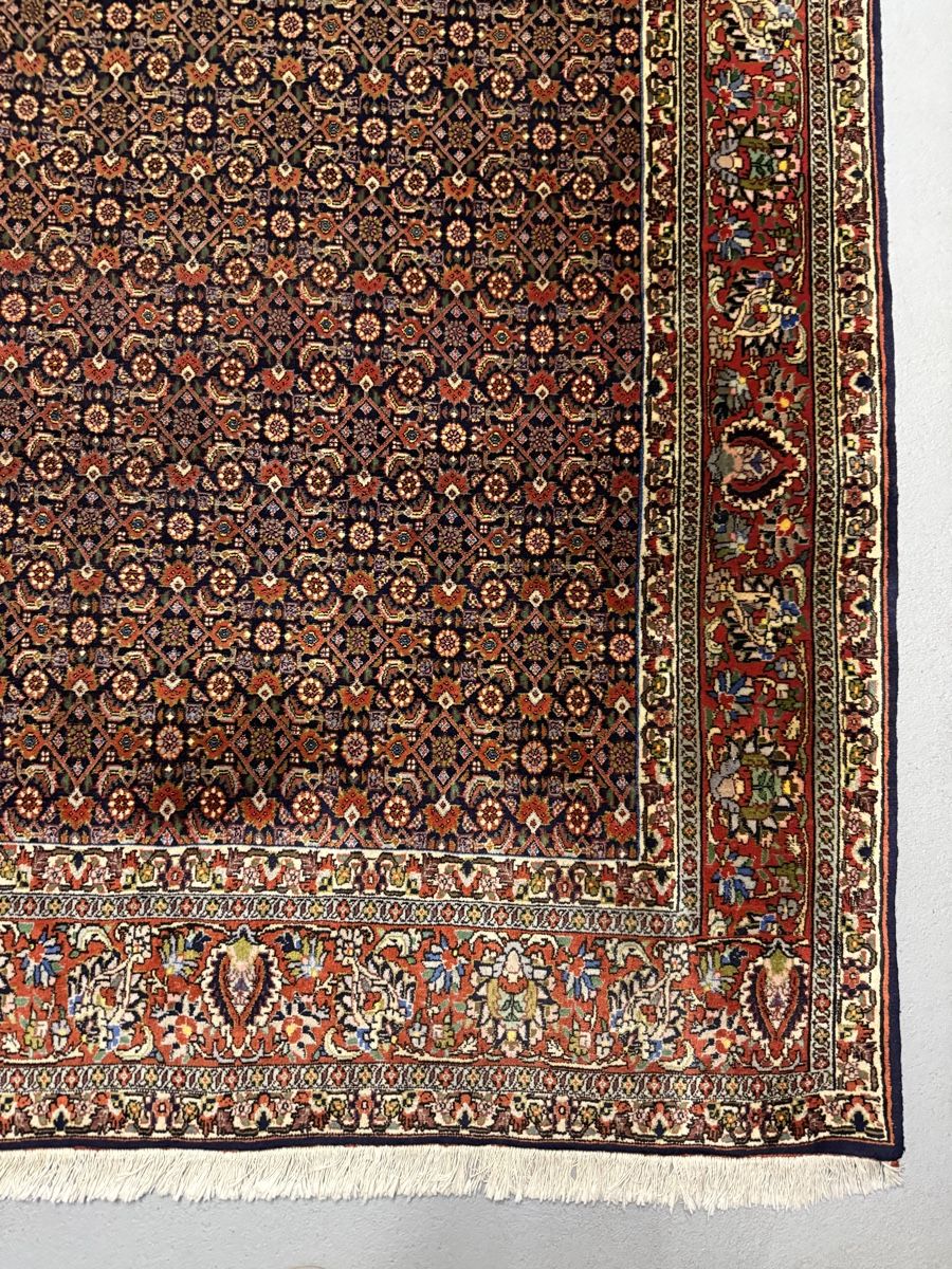 Bidjar Teppiche: Wunderschöner Perserteppich 208x204.cm – Gebraucht aus Sempach von Star7 2