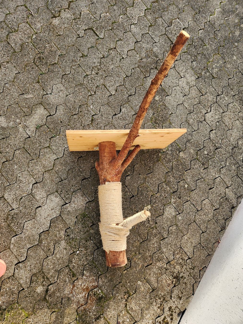 Tiragraffi: Kratzbaum – Usato da Matzendorf venduto da Kramer7 2