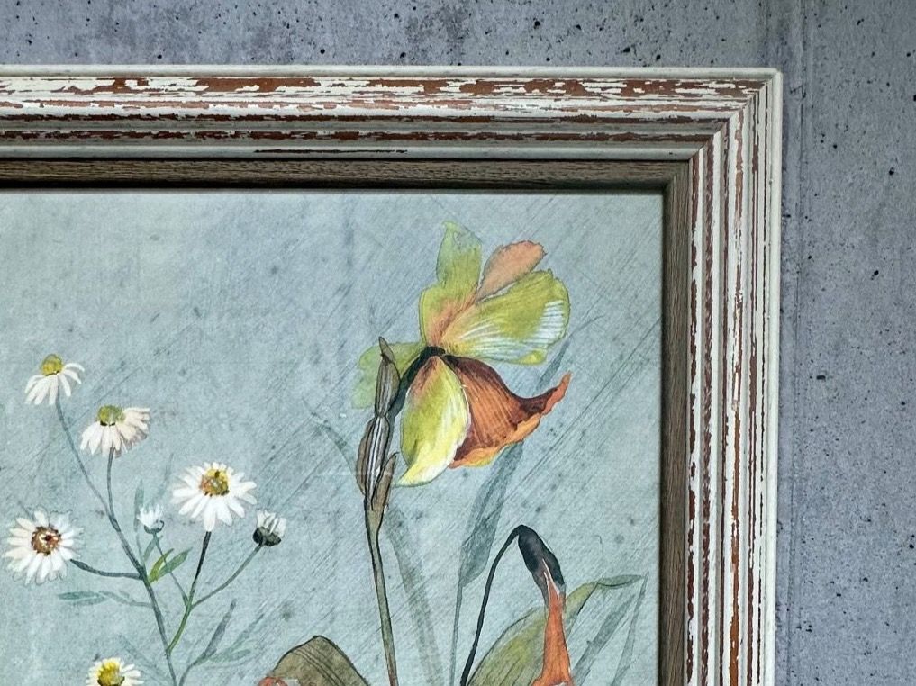 Foto & Immagini: Bilder mit Blumenmotiven – Usato da Leuk-Stadt venduto da 2thcircle 1