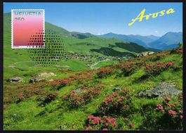 MK Farben der CH - Alpenrosenrot, Inner-Arosa