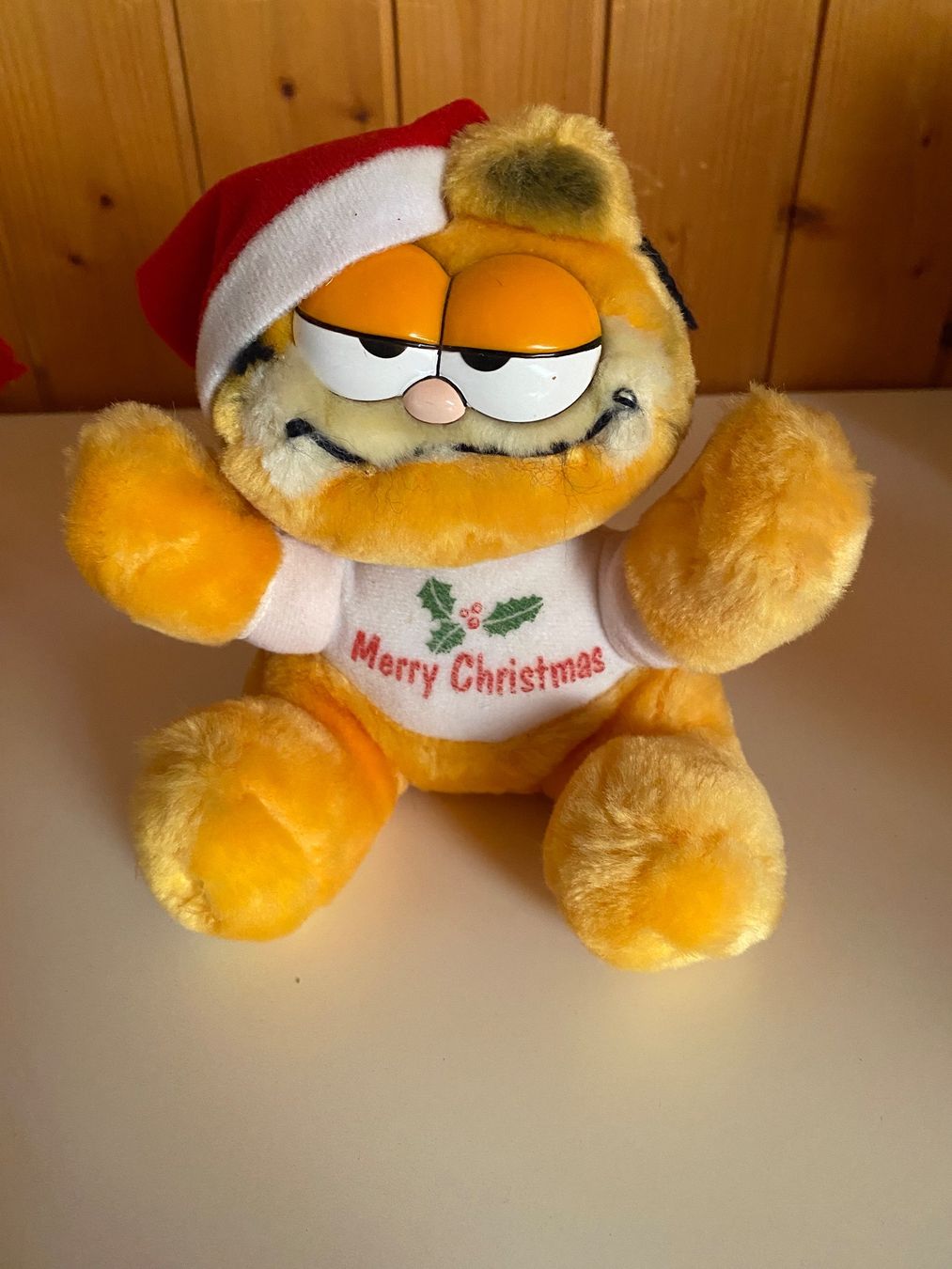 Giocattoli: Garfield Plüsch – Usato da Neuenhof venduto da v_trin 3