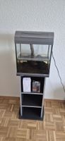 aquarium 35 liter