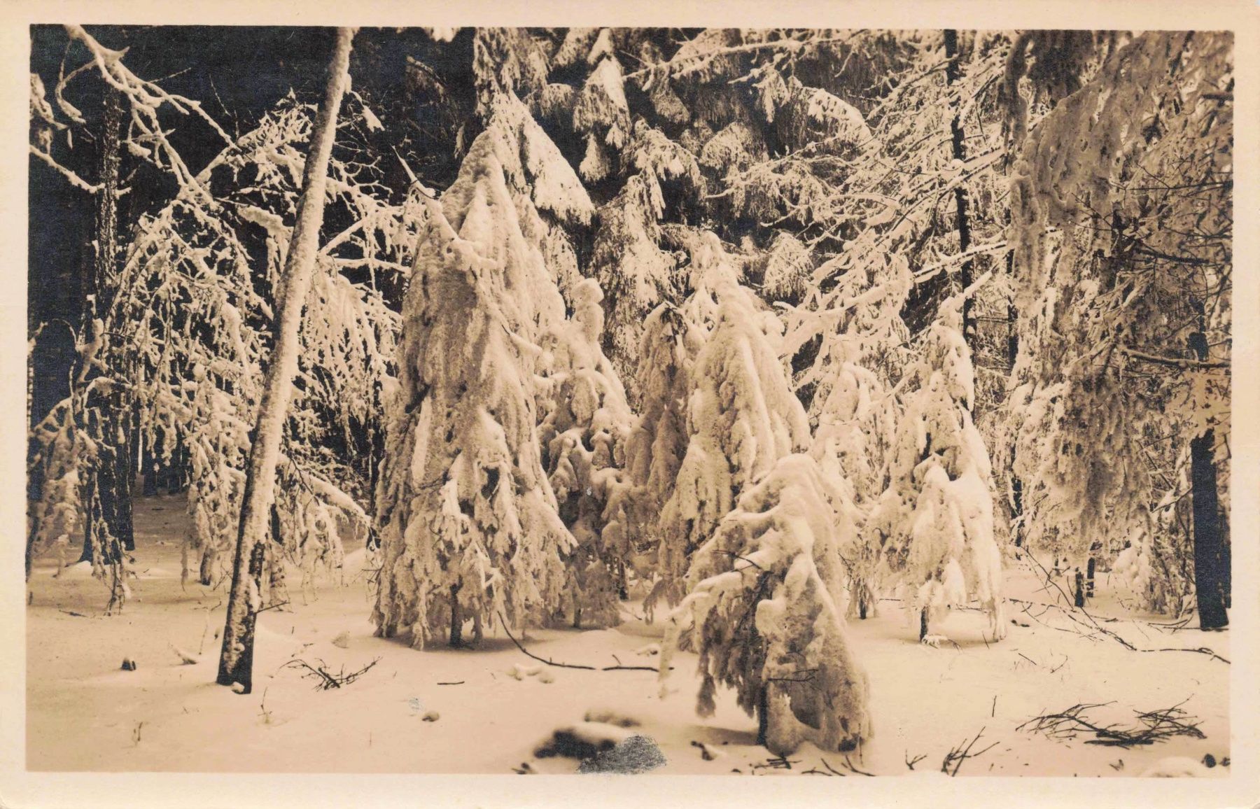 Cartoline postali: verschneite Landschaft – Usato da Biasca venduto da Blenio71