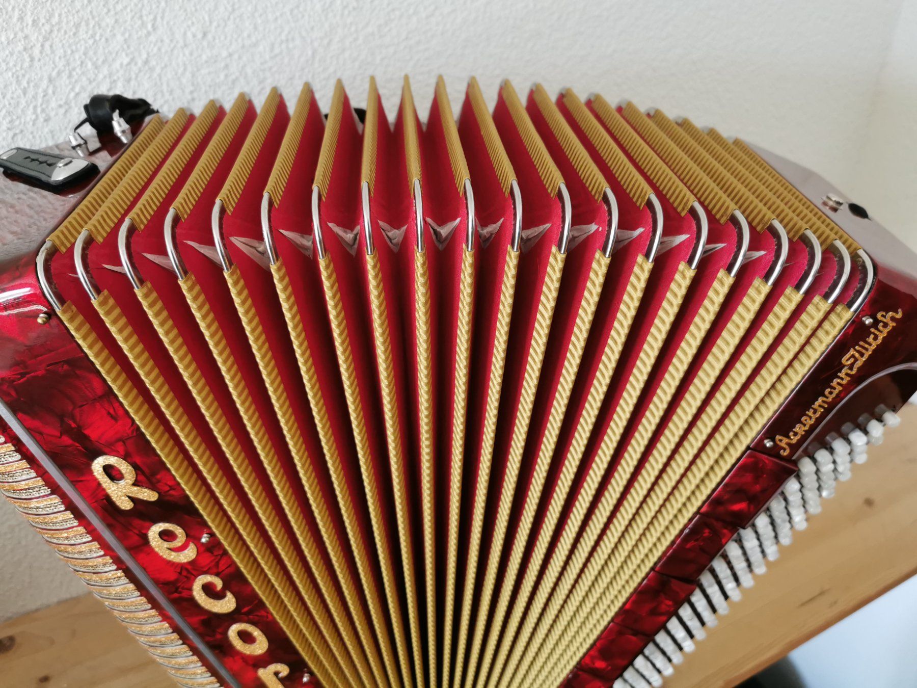 Musikinstrumente: AKKORDEON RECORD PIGINI GRANDIOSO – Gebraucht aus Volketswil von  5