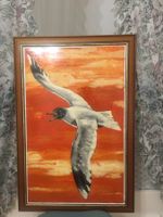 Magischer Möwenflug im Abendsonnenuntergang   W.  ULMANN
