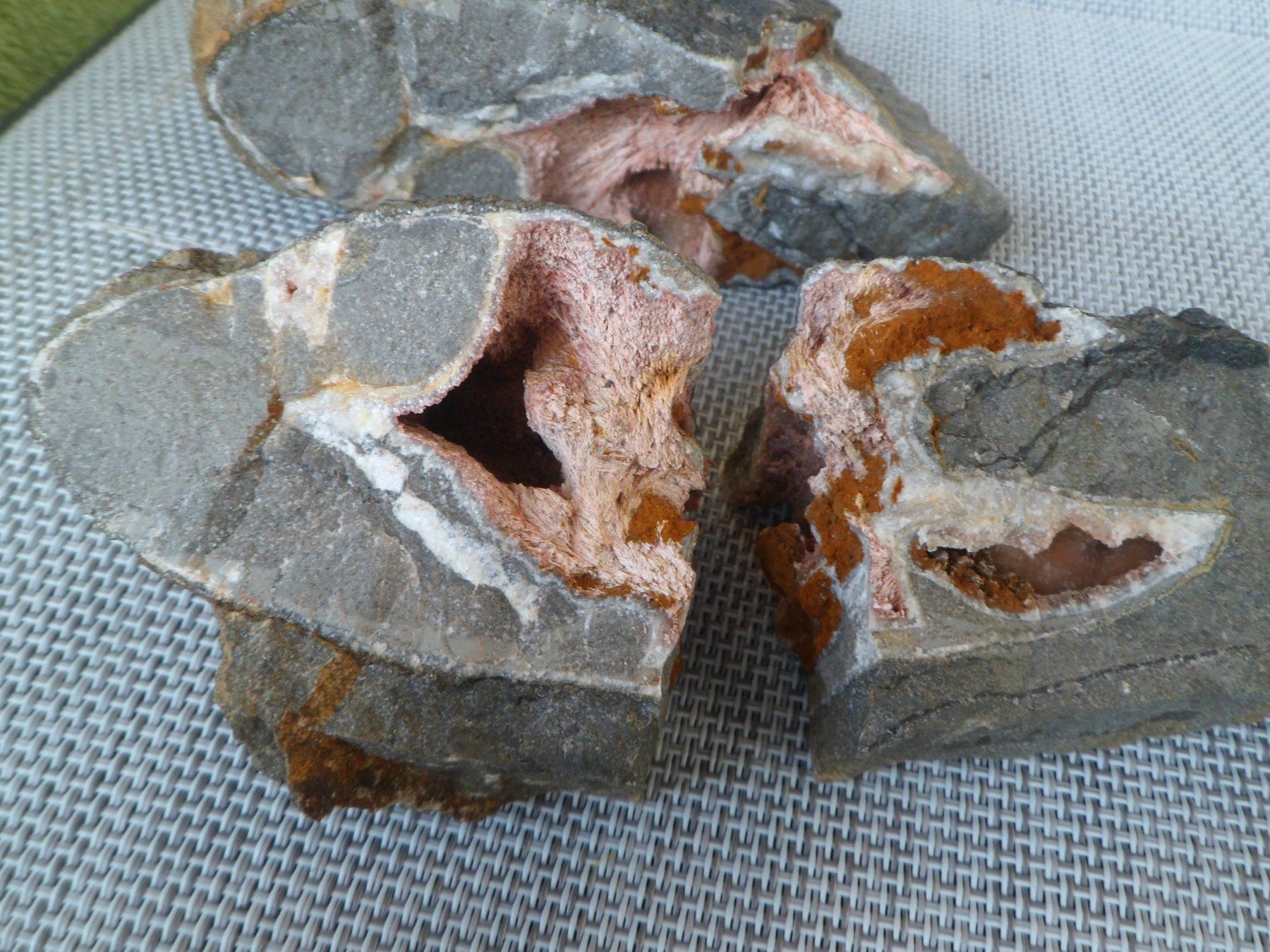 Fossili: Ammonitstück dreiteilig. Schweiz – Usato da Affoltern am Albis venduto da Fossil60 8