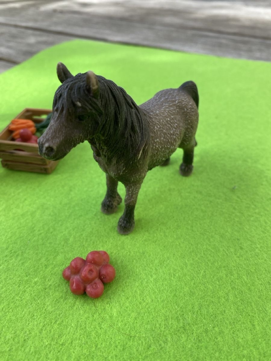 Schleich Giocattoli: Schleichponnys mit Zubehör – Nuovo (secondo la descrizione) da Wädenswil venduto da nomis05 2