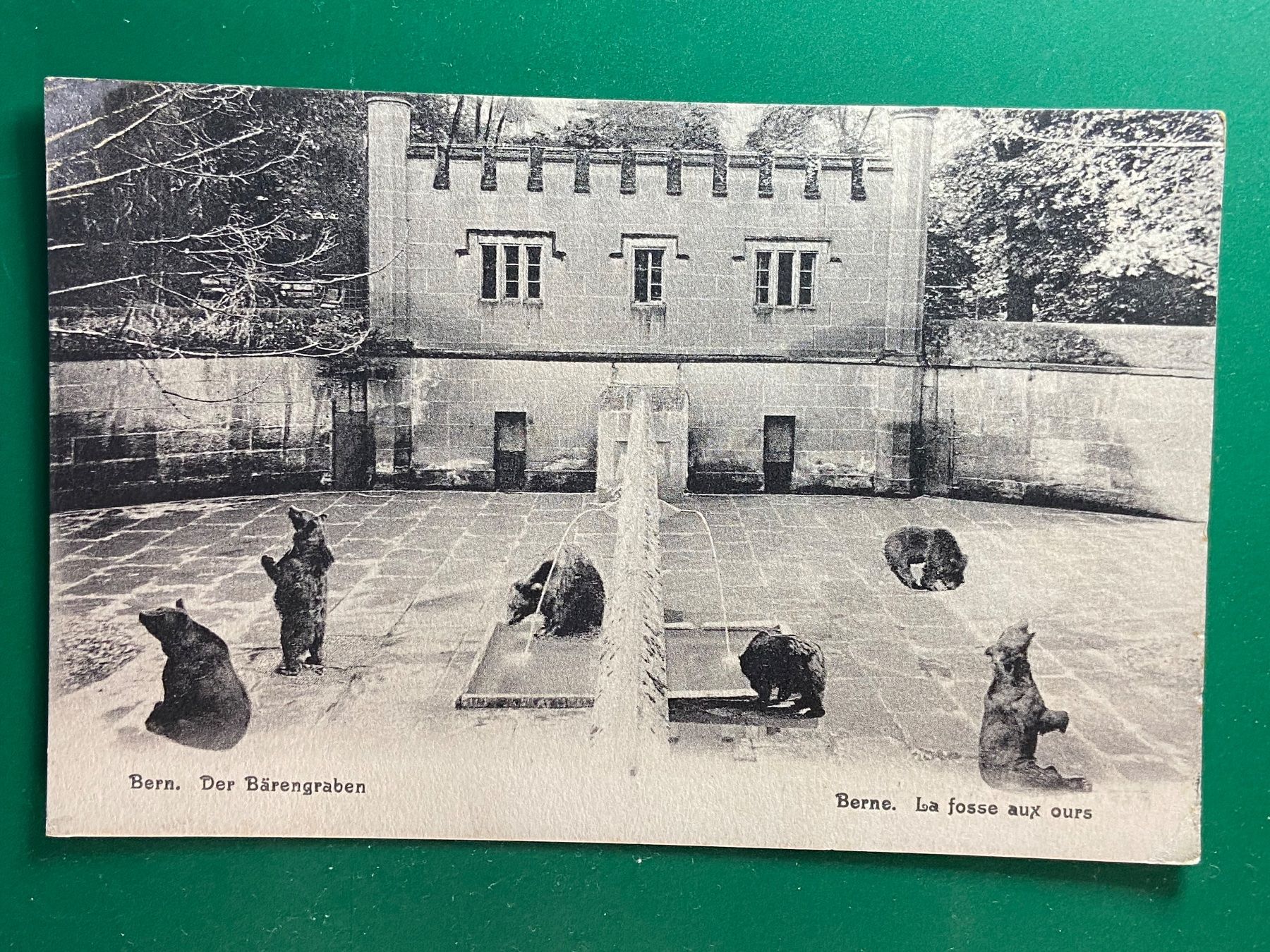 Cartoline postali: Bern - der Bärengraben – Usato da Steg VS venduto da _vinci_