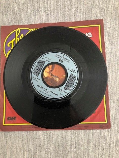 Dischi in vinile: Wishful Thinking – Usato da Aarwangen venduto da Jukebox3 3