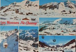 LES MOSSES - Pic Chaussy