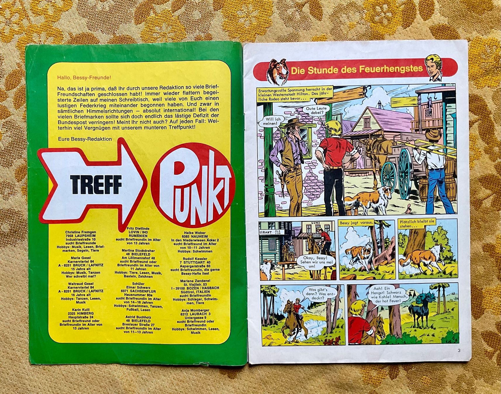 Fumetti: Bessy Heft Nr 460 von 1973 ? – Usato da Endingen venduto da nathan05 1