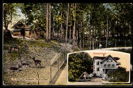 AK St. Gallen, Wildpark Peter u. Paul