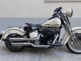 Harley Springer