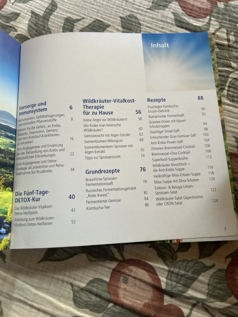 Libri: Das grosse Detox-Buch mit Wildkräutervitalkost – Nuovo (secondo la descrizione) da densbüren venduto da Oldaden 2