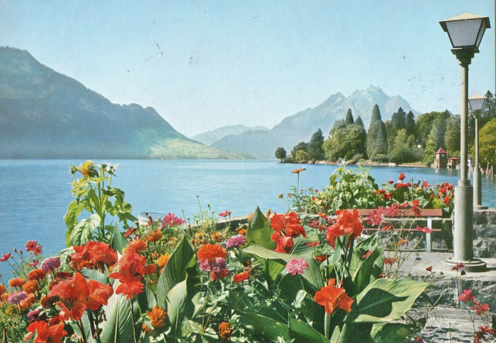 Cartoline postali: Weggis - Quaianlage mit Pilatus – Usato da Melano venduto da pisonsdro