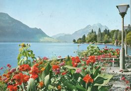 Weggis - Quaianlage mit Pilatus