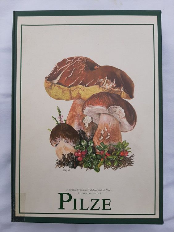 Sammlung 180 naturkundliche Tafeln Pilze | Kaufen auf Ricardo