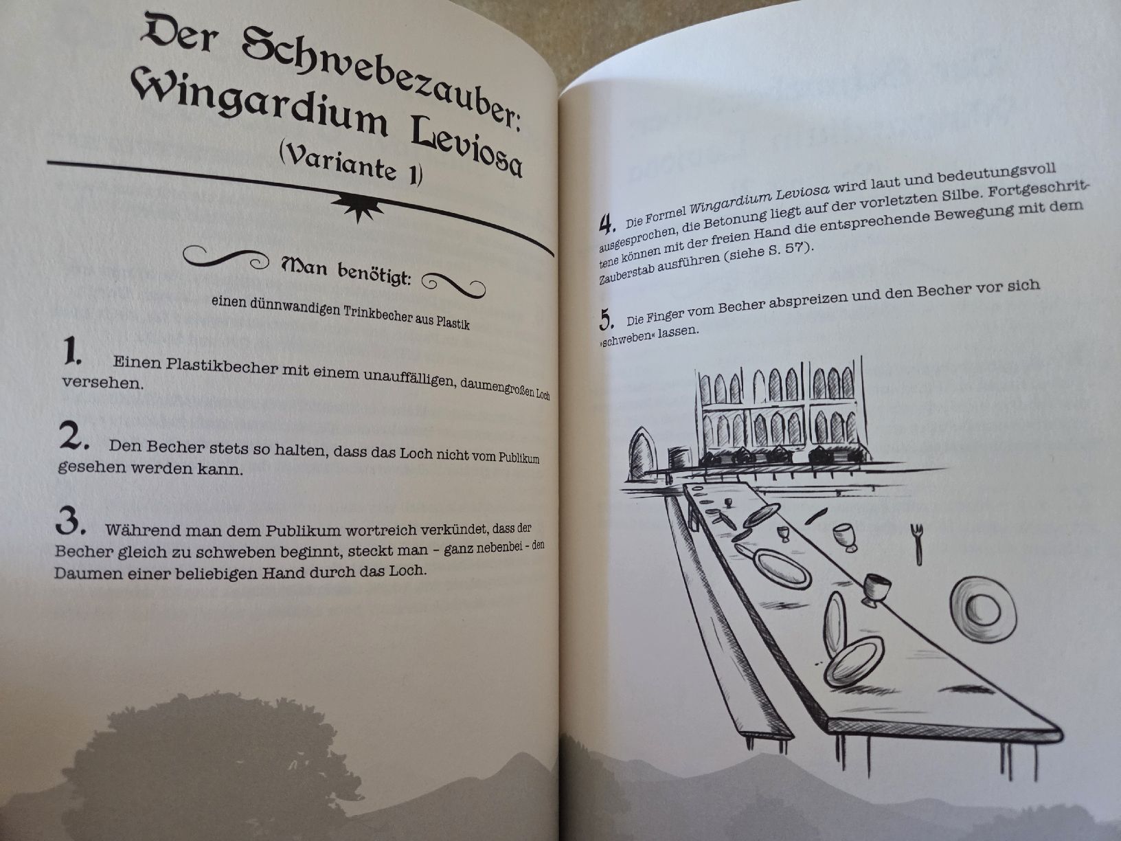 Livres: Book bundle - 3x inoffizielle Harry Potter Bücher – Neuf (Voir description) à Magden par lil_wwh9 3