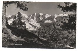 PONTRESINA Piz Palü u. Bellavista