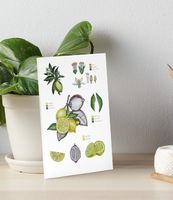 Karte Druck Art Print von Handgemalte Botanisch Zitrone