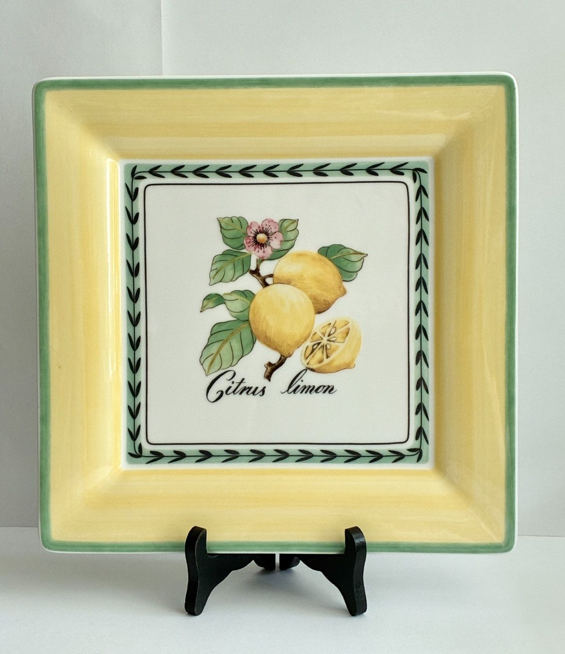 Villeroy & Boch Piatti: VILLEROY & BOCH "French Garden" Teller "Citrus Limon" – Usato da Kloten venduto da Nephty 3