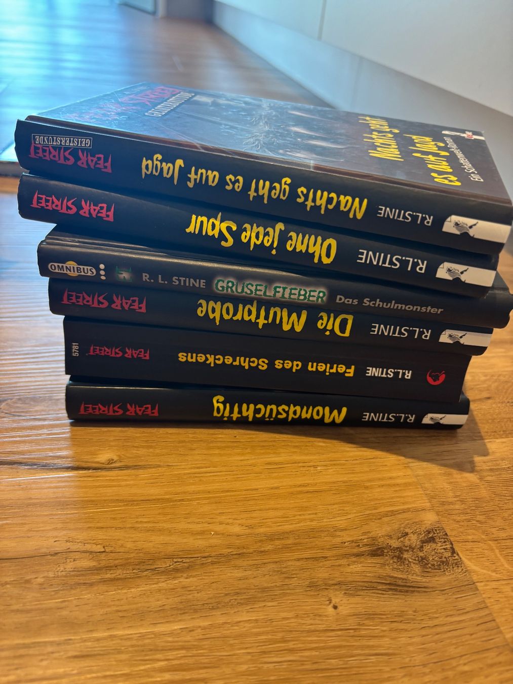 Libri: Fear Street Bücher – Usato da Amriswil venduto da AllyMoonRose