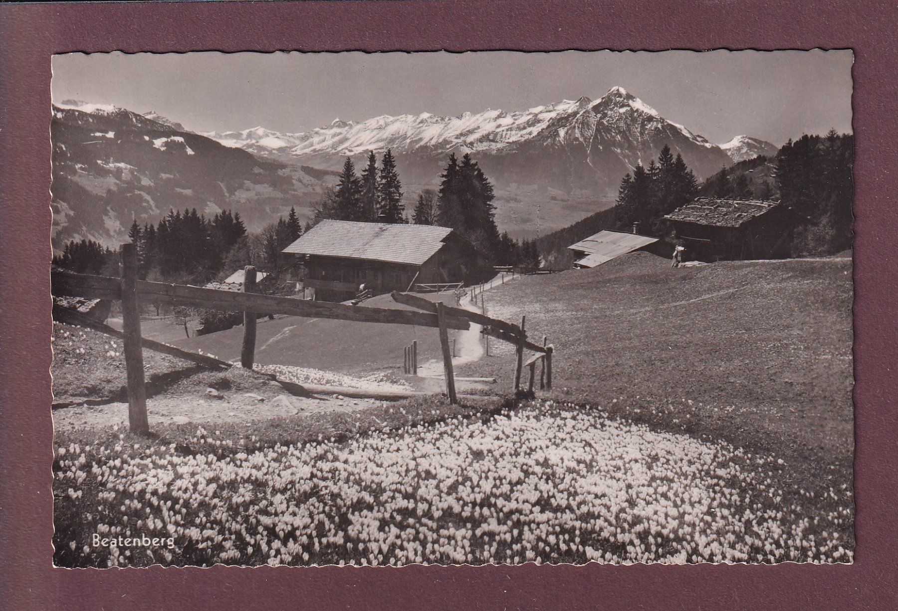 Cartoline postali: BEATENBERG – Usato da Pully venduto da nicecards