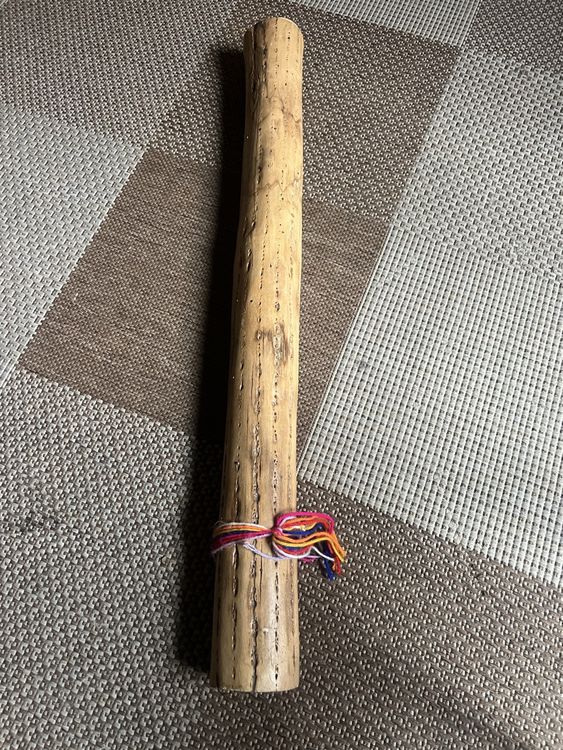 Cactus Chilean Rainstick Instrument, Natural Wood, Handmade (Gebraucht ...