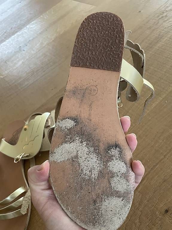 Scarpe da donna: Ancient Greek Sandals Gr. 40 – Usato da Meisterschwanden venduto da jil_8rtq 2