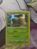 Torterra (BRS 008) Holo Rare Anglais