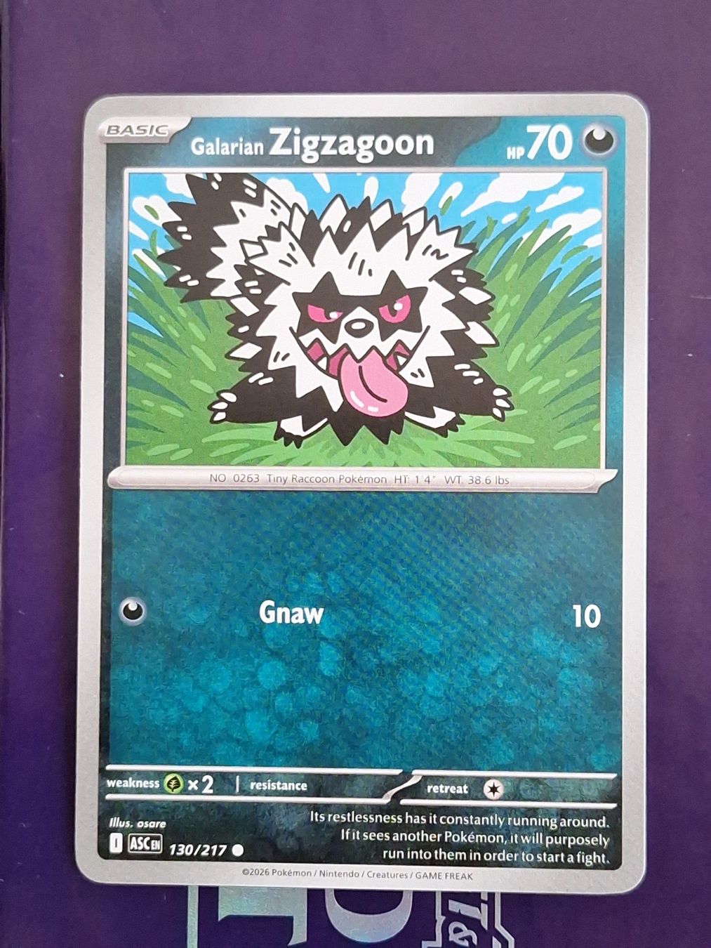 Pokémon Carte collezionabili: Galarian Zigzagoon - Pokemon Ascended Heroes – Usato da Altstätten SG venduto da GGsGameshop
